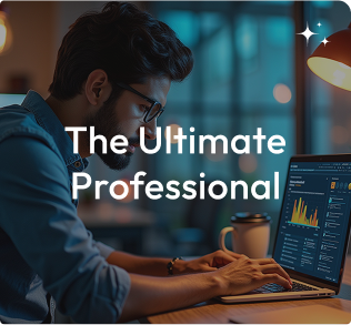 Professional developer working